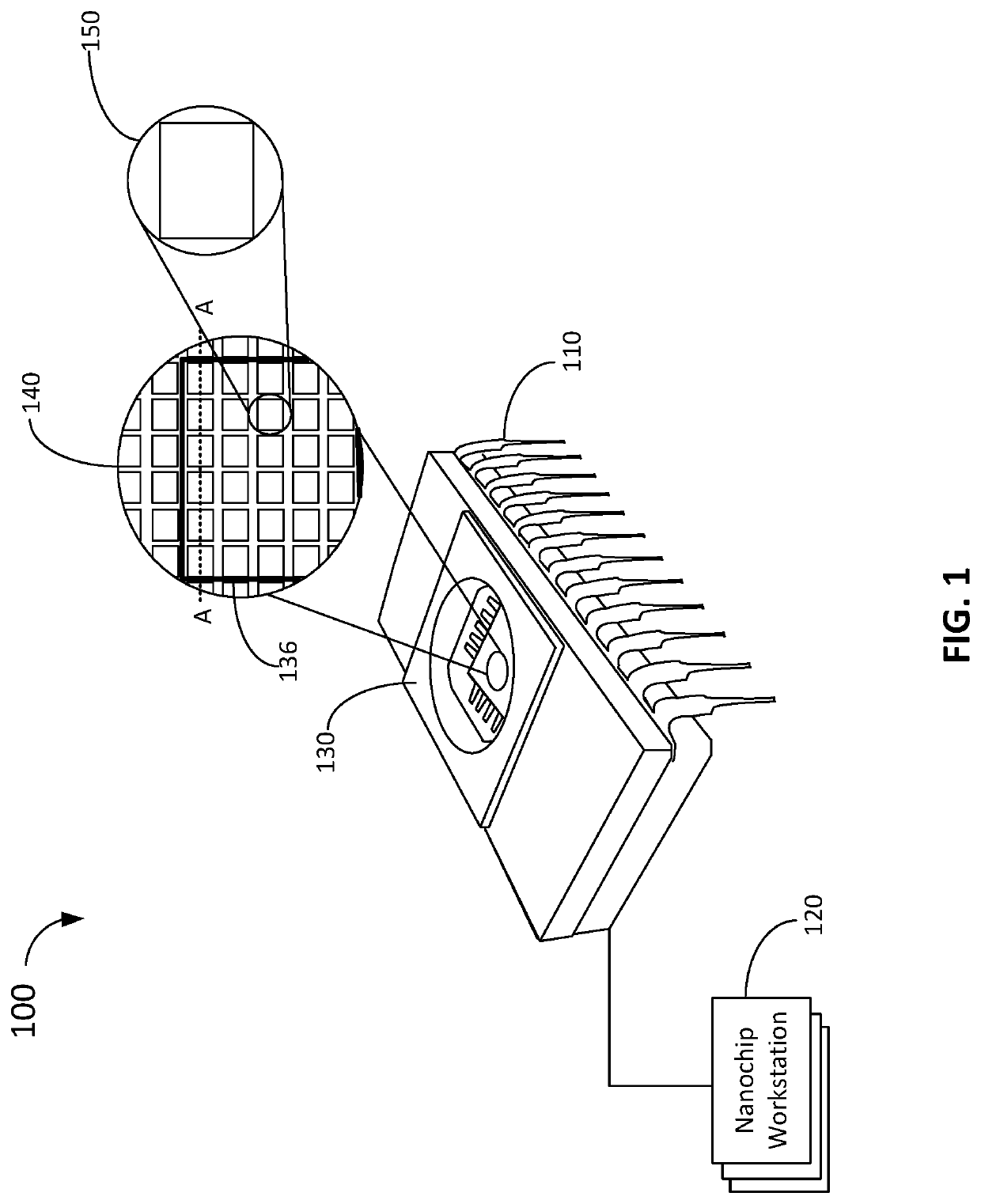 Normalization and baseline shift removal by rotation in added data dimensions