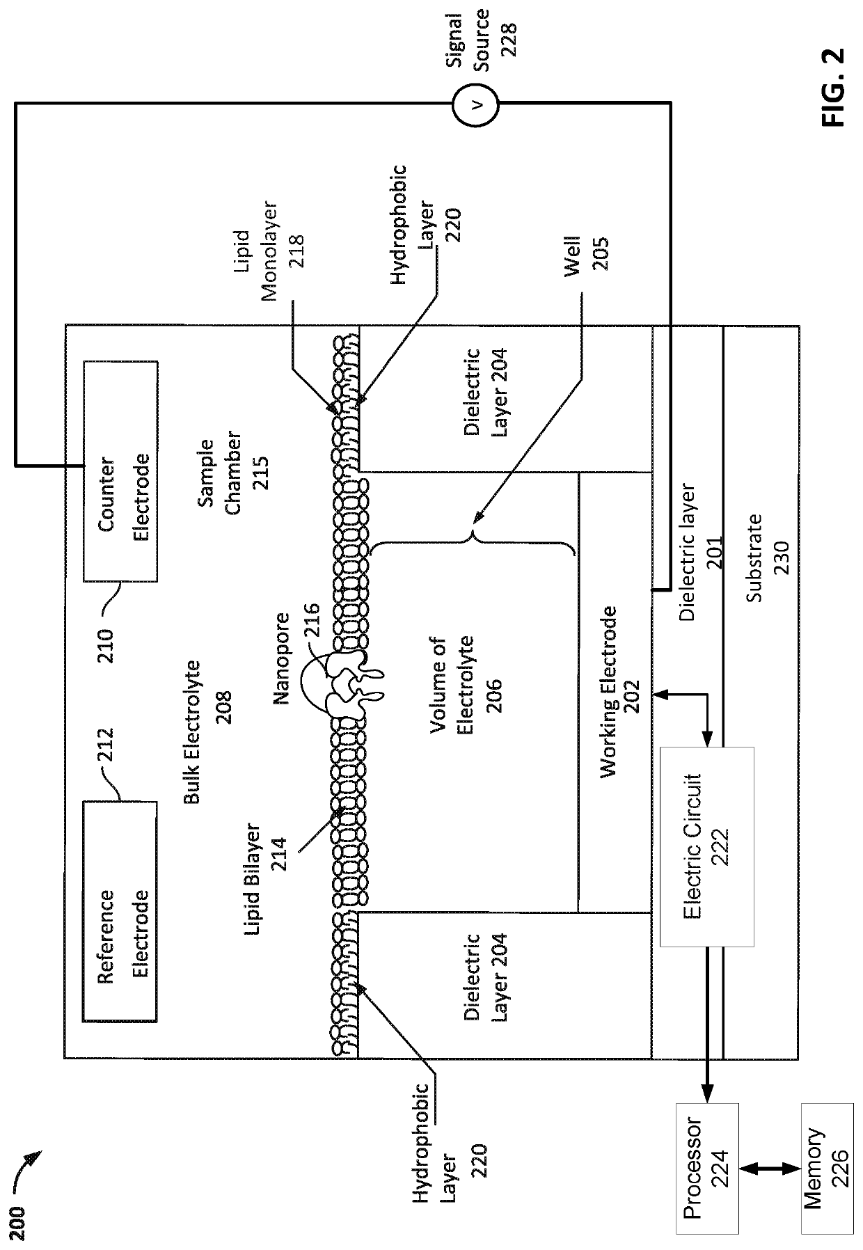 Normalization and baseline shift removal by rotation in added data dimensions