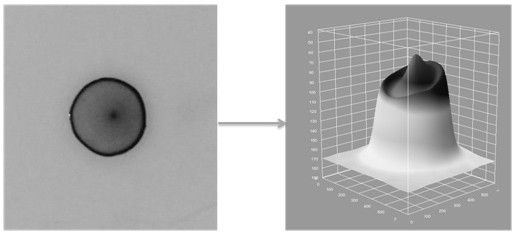 A nano-electrospun membrane with high selectivity for amino acids and its preparation method