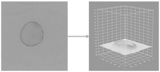 A nano-electrospun membrane with high selectivity for amino acids and its preparation method