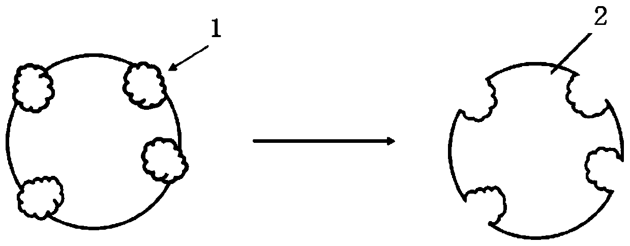 Malachite green detection method and detection device and probe manufacturing method