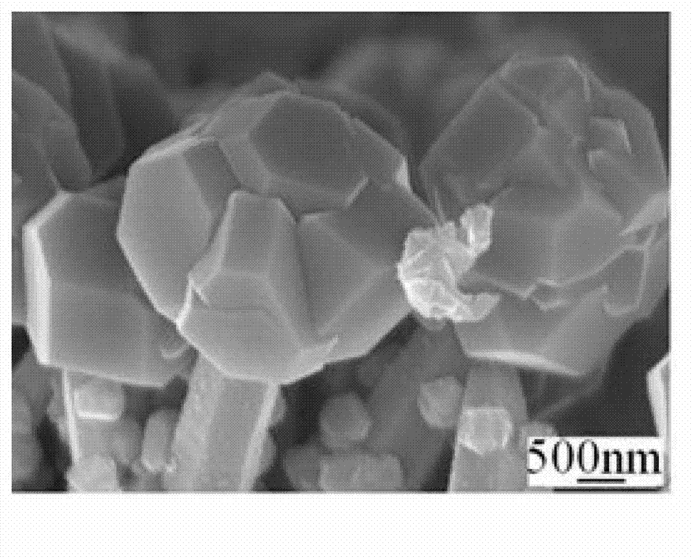 Preparation method of zinc oxide/ cuprous oxide heterojunction