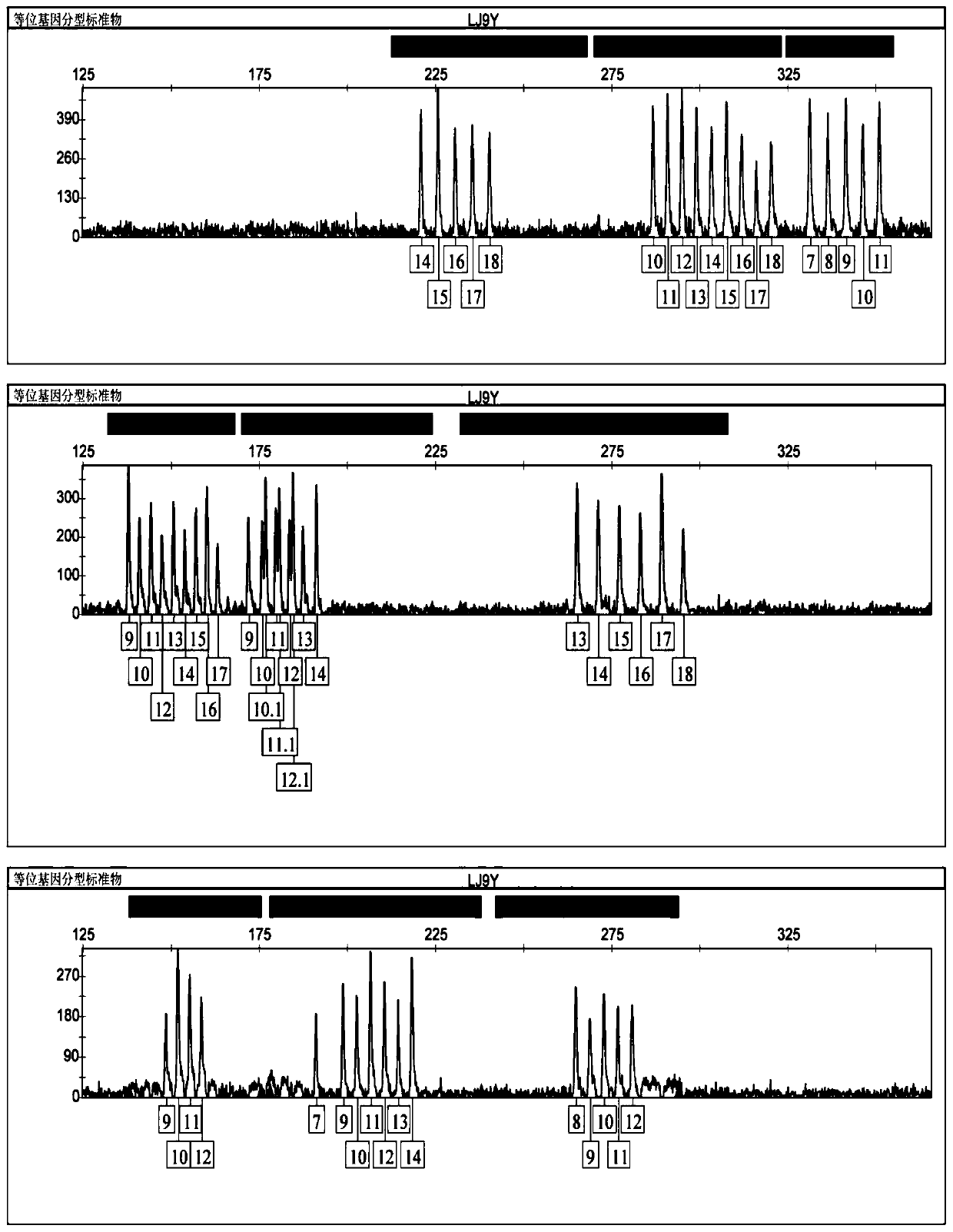 Forensic fluorescence composite detection kit based on 9 slow-mutation Y chromosome STR genetic markers