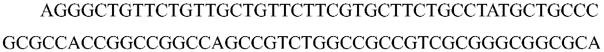 Method capable of simultaneously detecting plurality of genotypes of hepatitis E viruses