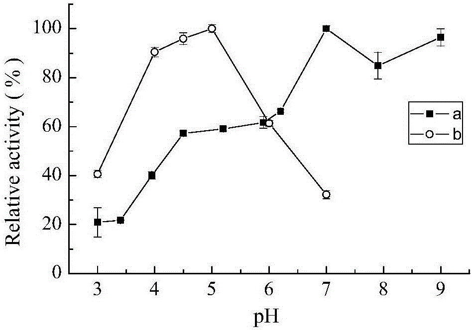 Bacillus subtilis cjp3 for producing CotA laccase as well as CotA laccase and application thereof