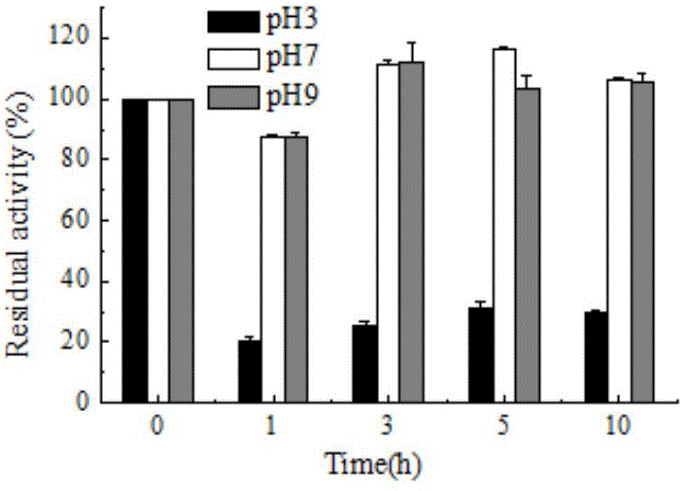 Bacillus subtilis cjp3 for producing CotA laccase as well as CotA laccase and application thereof