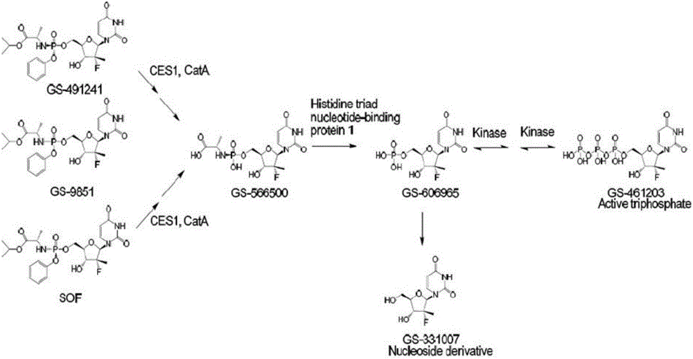 Prodrug, preparation method therefor, pharmaceutical compositions and use thereof