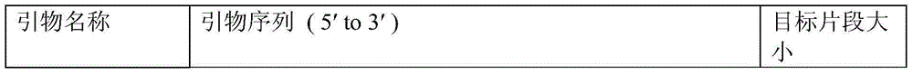 Detection method of rhodobacter sphaeroides phage in coenzyme Q10 production