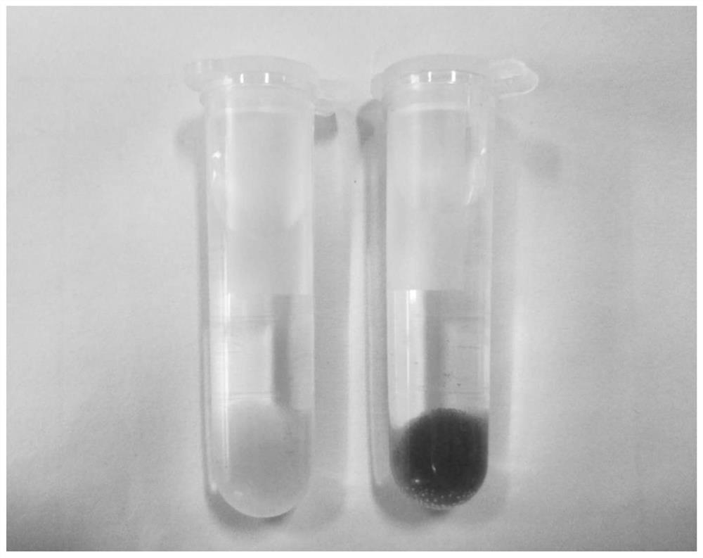 Ion imprinted material for rapid color development and detection of copper ions and preparation method and application thereof