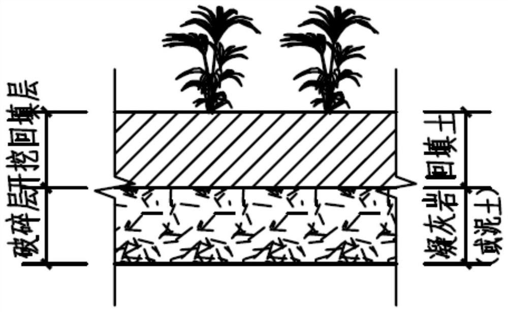 Mangrove forest afforestation method for intensively weathered tuff geology and intertidal zones with high elevations