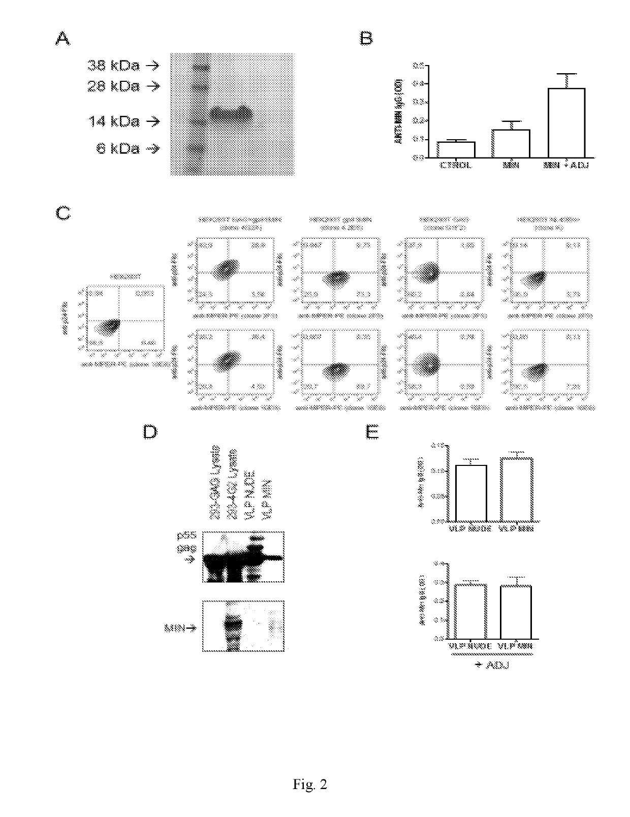 Virus-like particles with high-density coating for inducing the expression of antibodies