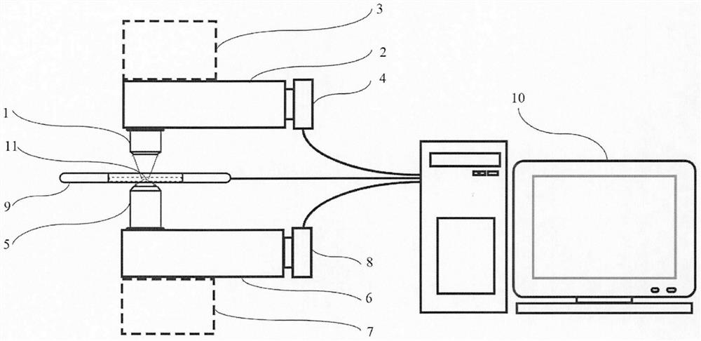 A New Sperm Quality Evaluation System