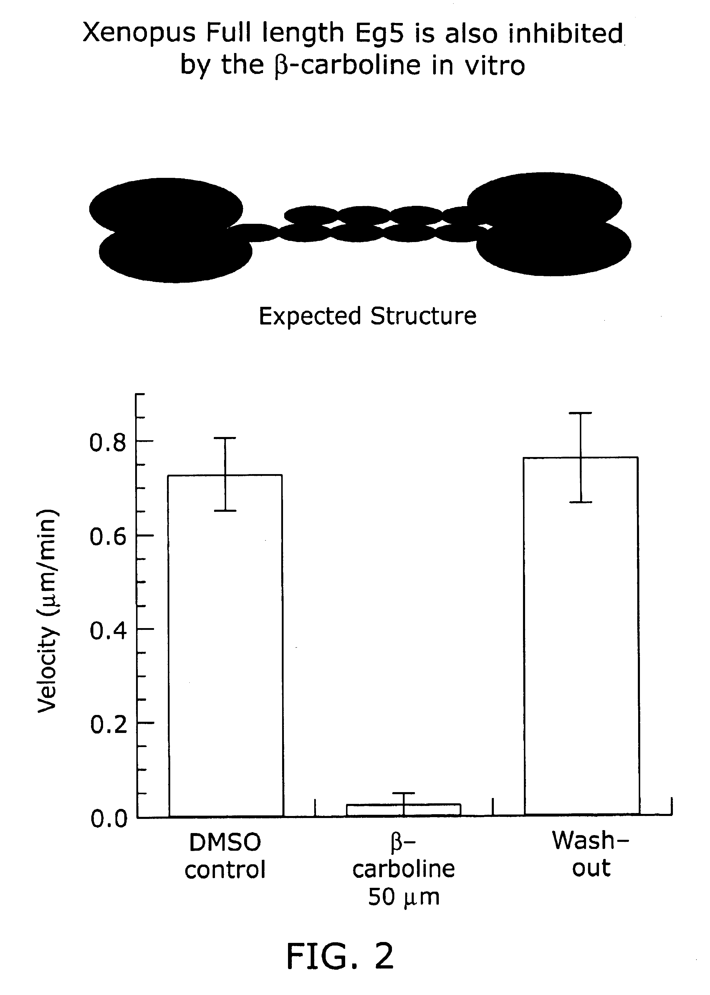 Kinesin inhibitors