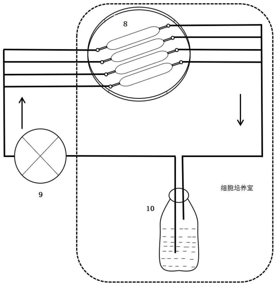 In-vitro vascular tissue-like model with fluid environment and application of in-vitro vascular tissue-like model