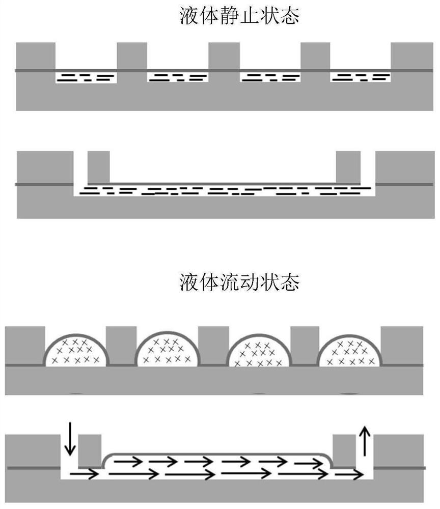 In-vitro vascular tissue-like model with fluid environment and application of in-vitro vascular tissue-like model