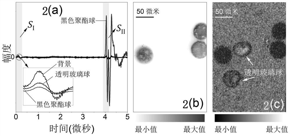 A Microscopic Imaging Method to Obtain Double Contrast of Light Absorption and Light Scattering Simultaneously