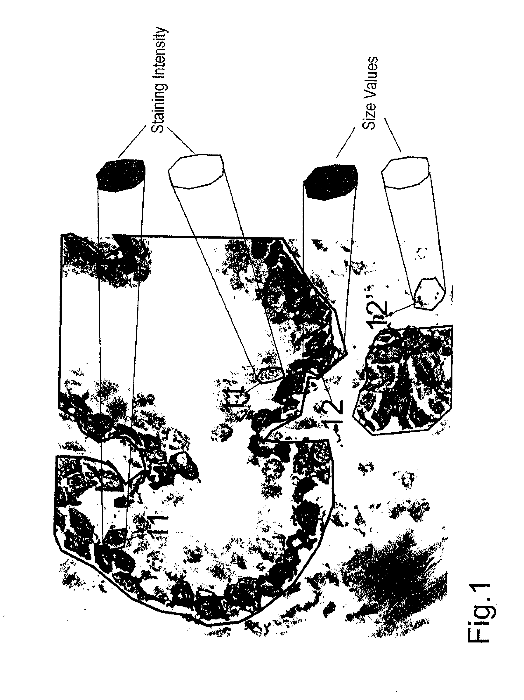 Methods and system for analyzing cells