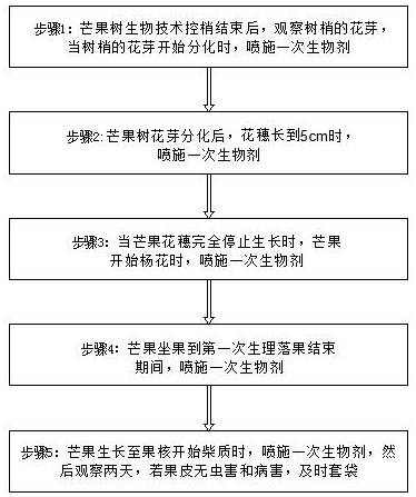 Flower and fruit retention method for mangoes