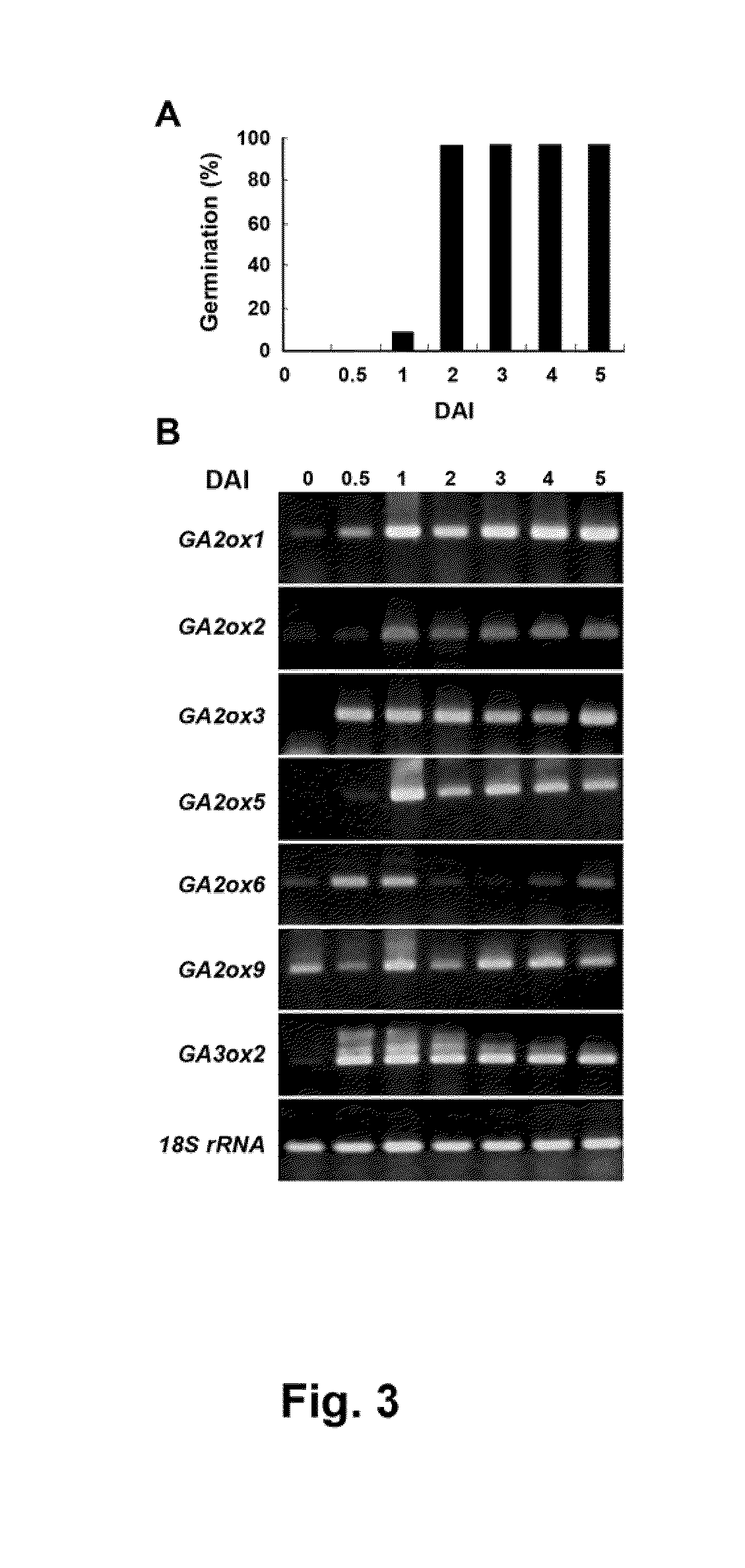 Method of controlling plant growth and architecture by controlling expression of gibberellin 2-oxidase