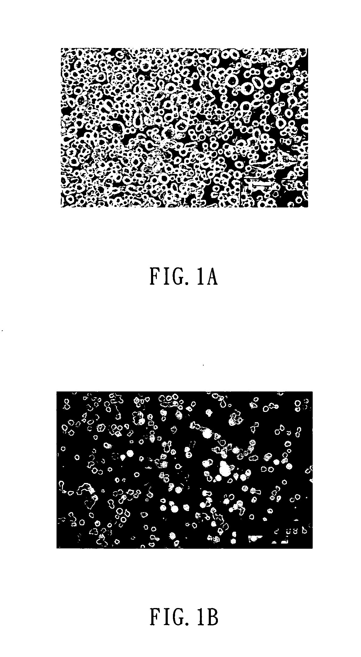 Method for generating non-human mammalian chimeric embryo