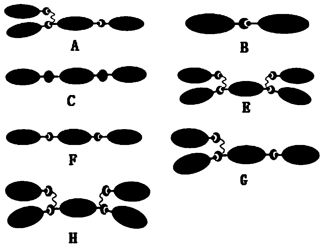 Construction and application of recombinant bacillus subtilis capable of synchronously secreting MTHase and MTSase