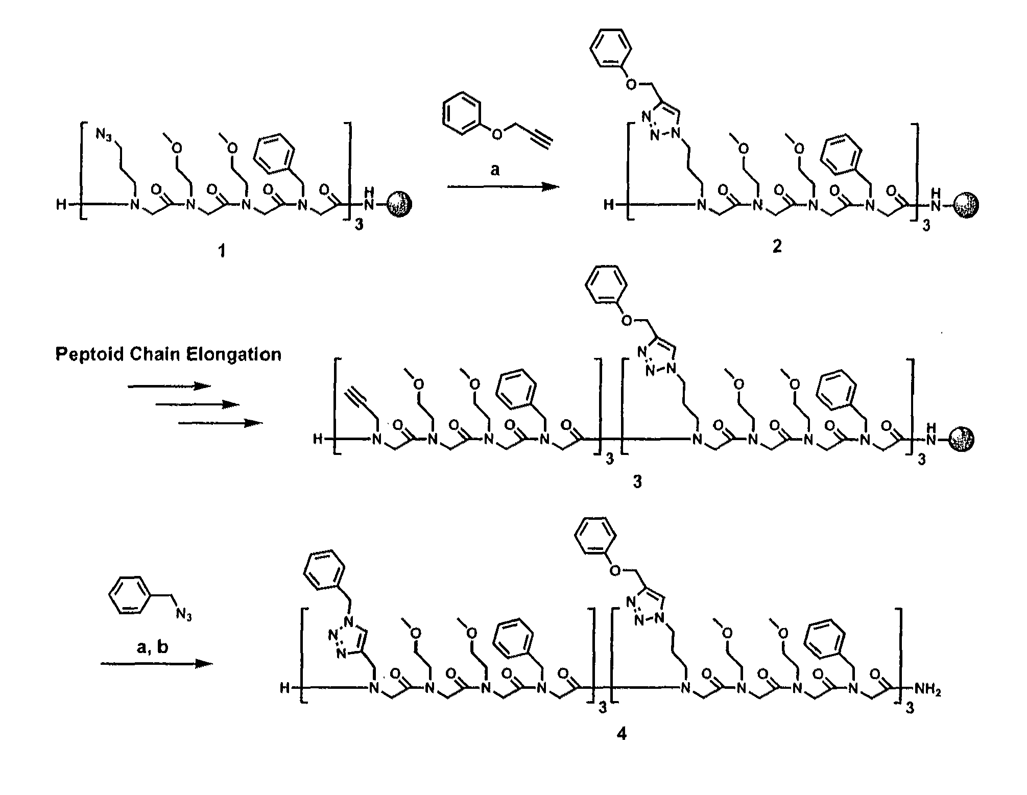 Method for site-specific polyvalent display on polymers