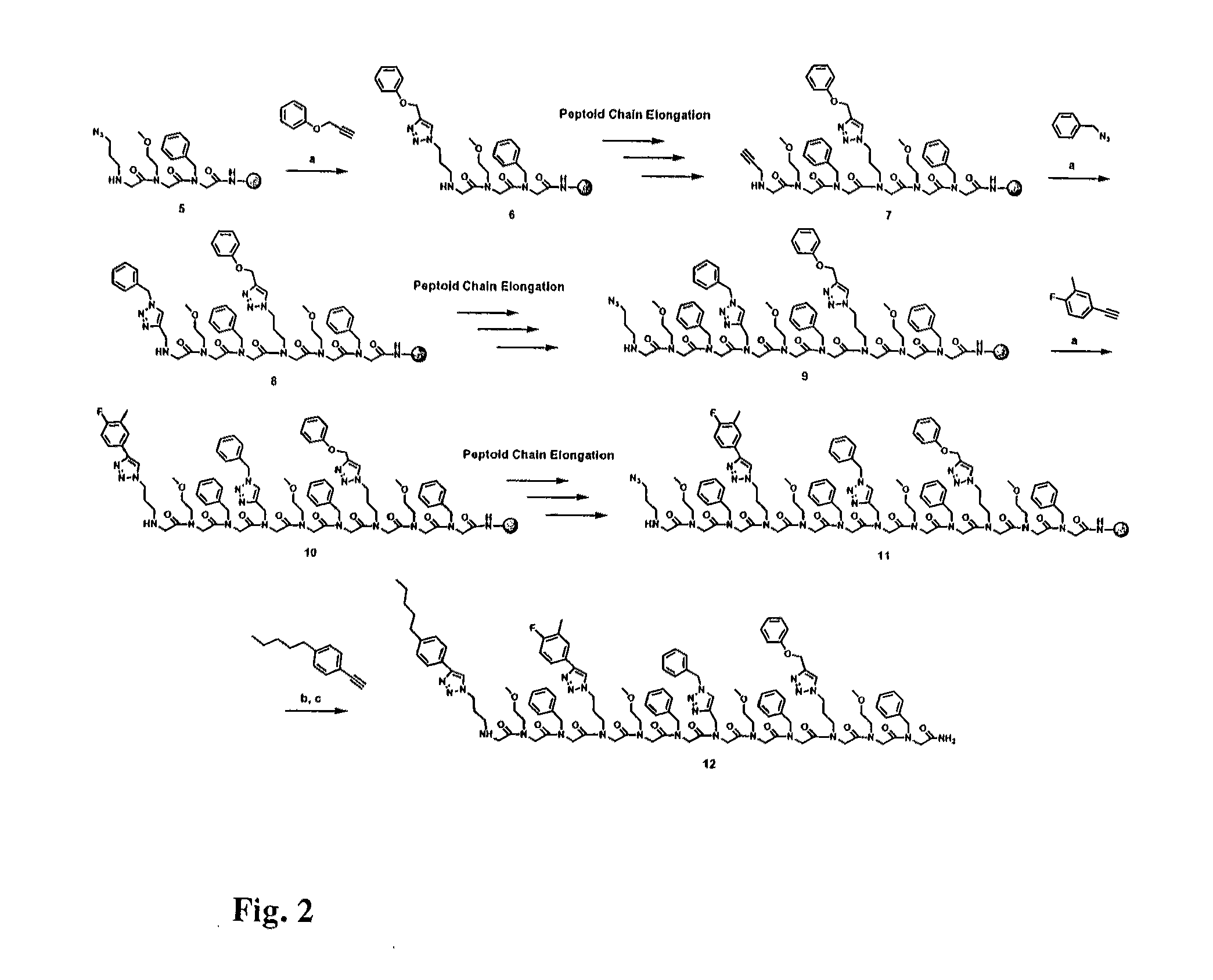 Method for site-specific polyvalent display on polymers