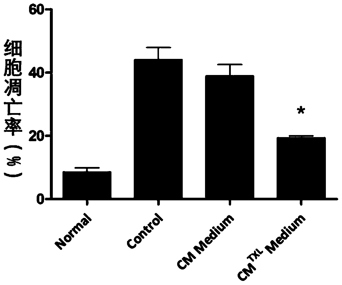 Myocardial-cell-derived exosome based on Tongxinluo pretreatment and preparation method thereof