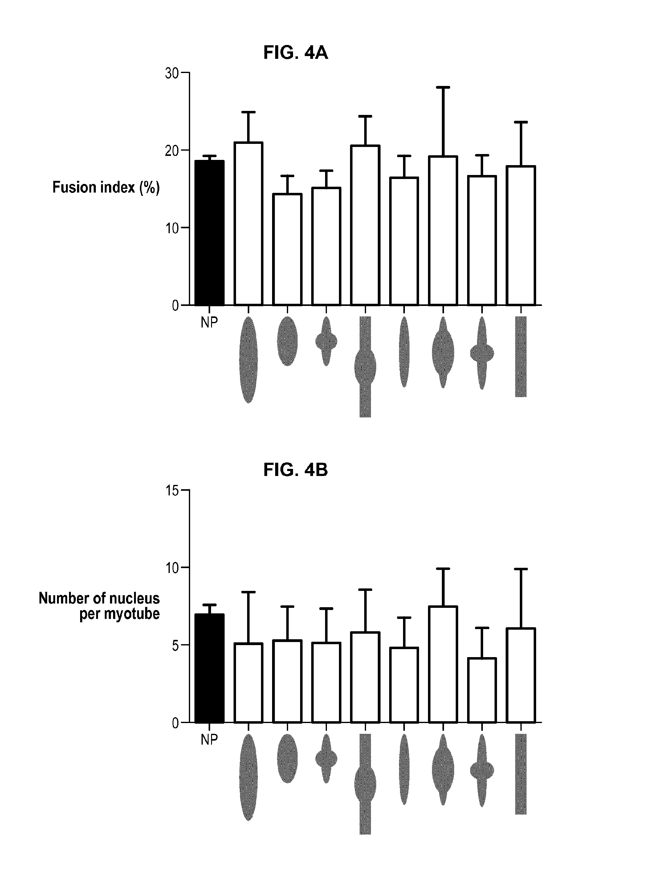 Device and method for standardizing myoblast differentiation into myotubes