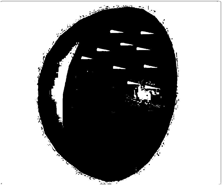 Suaeda glauca ultrafine powder briquetting active carbon and preparation method thereof