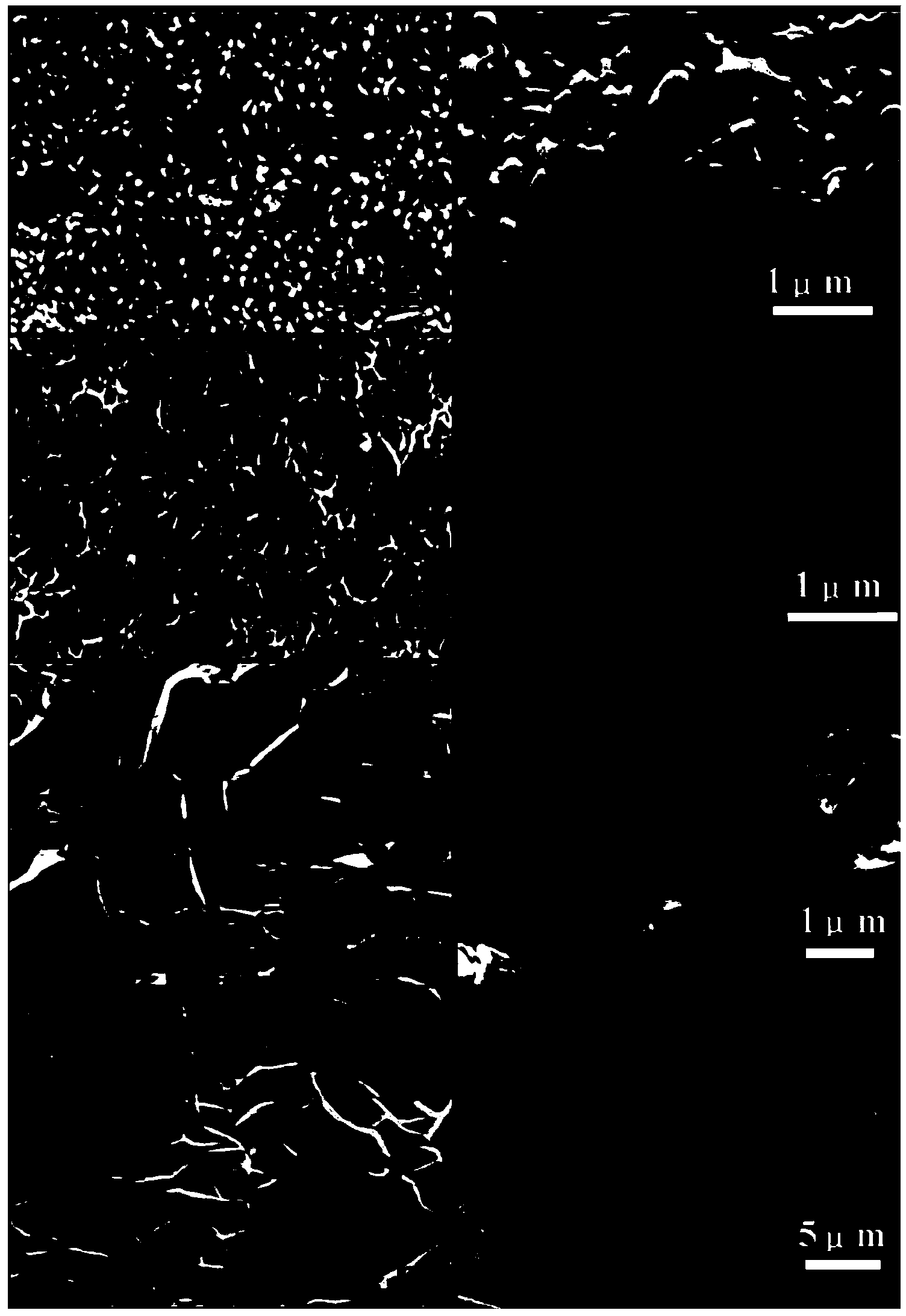 Method for preparing cobaltous hydroxide/bismuth sulfide composite nanowire electrode material of super-capacitor