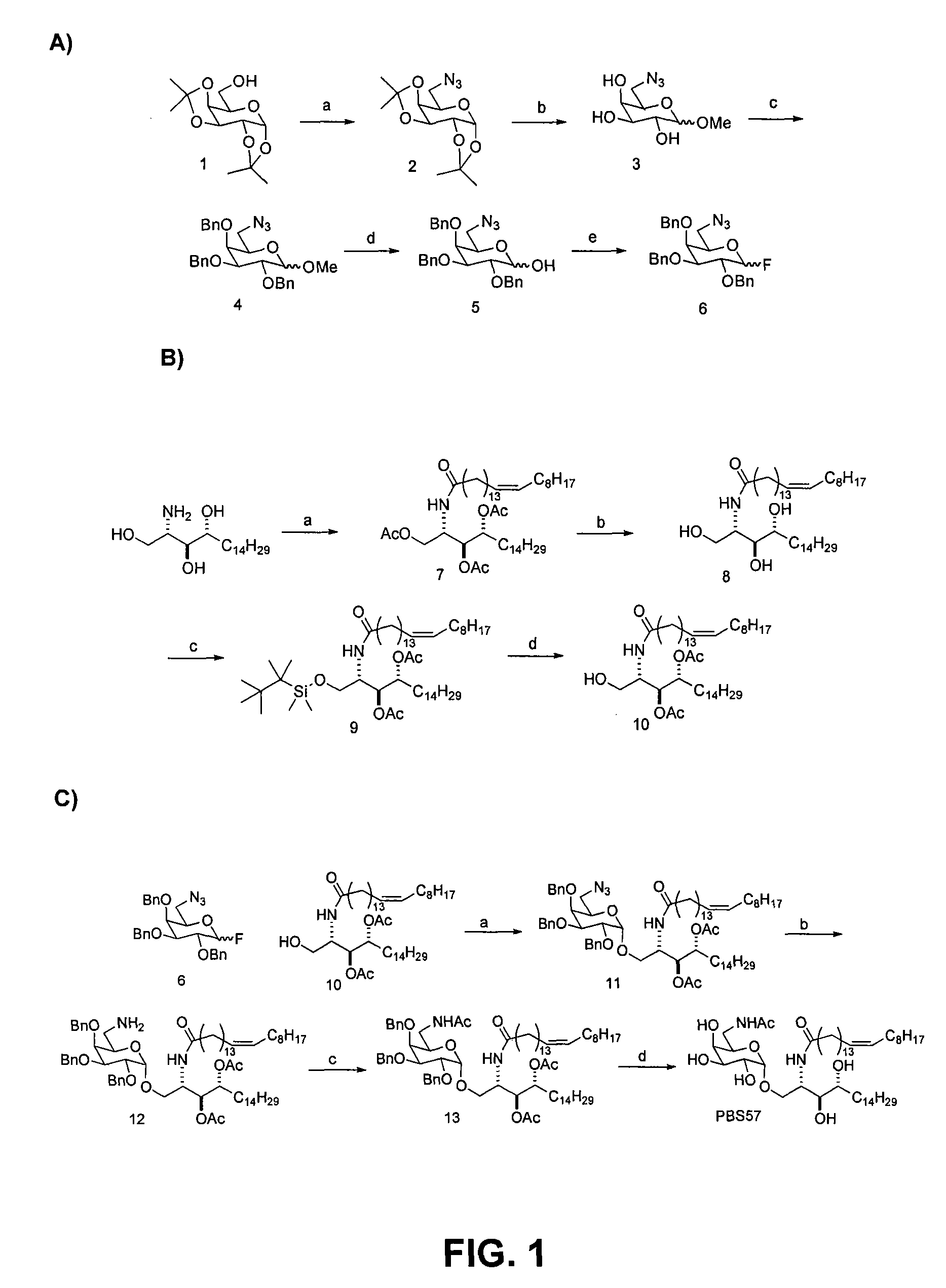 Modified α-galactosyl ceramides for staining and stimulating natural killer T cells