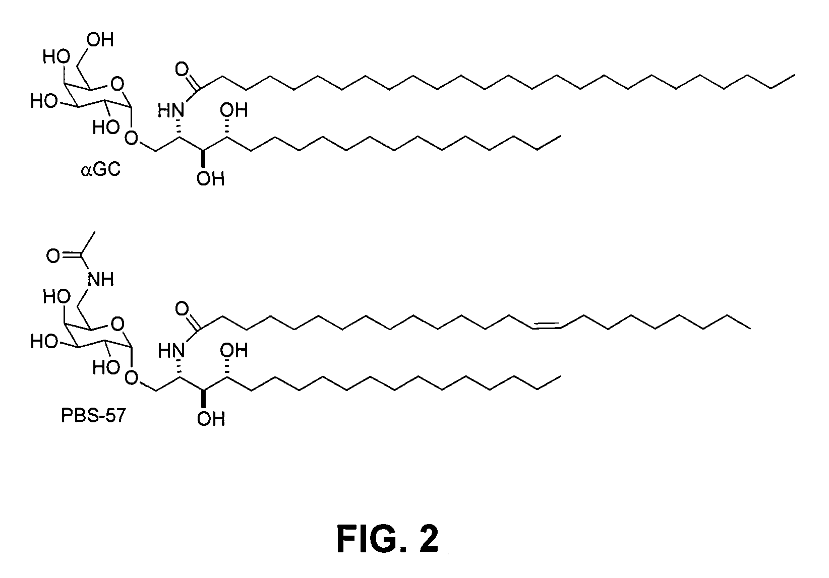 Modified α-galactosyl ceramides for staining and stimulating natural killer T cells