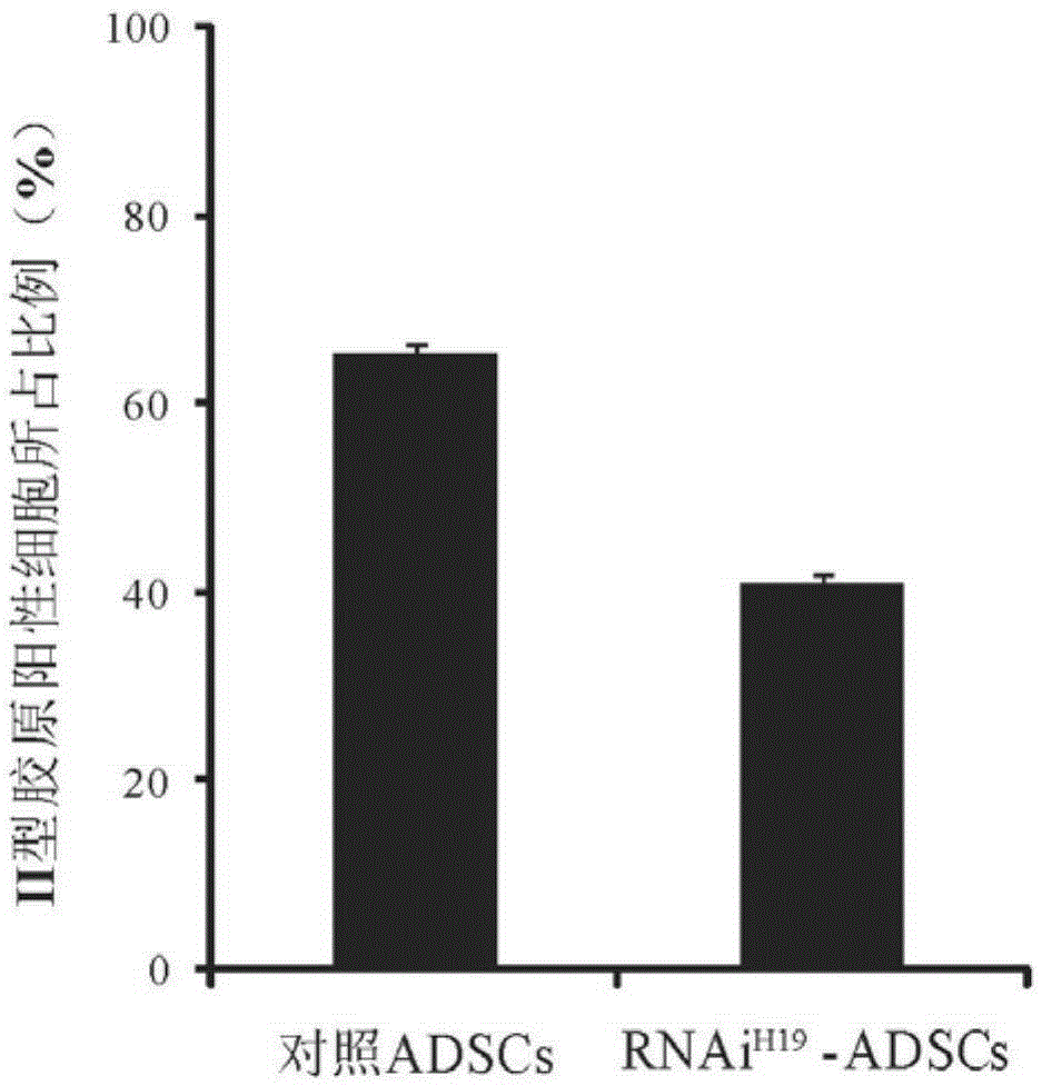 Screening method for IncRNAs, ADSCs, and induced differentiation method for cartilage cells