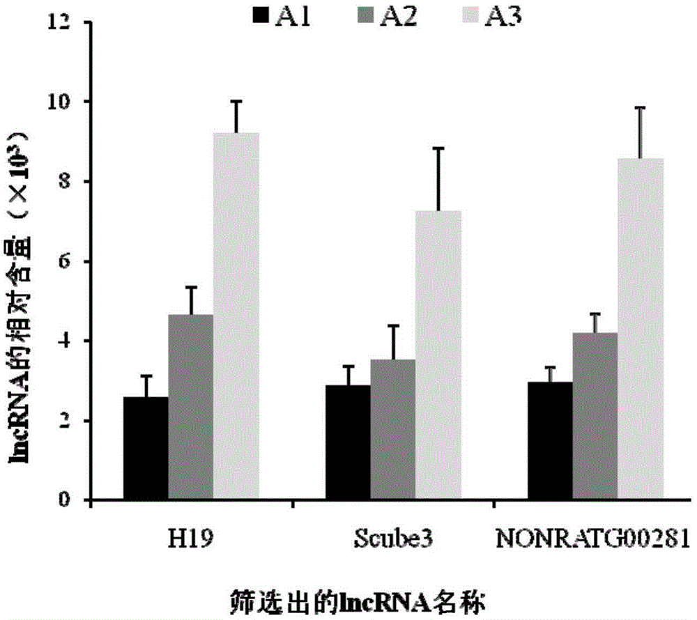 Screening method for IncRNAs, ADSCs, and induced differentiation method for cartilage cells