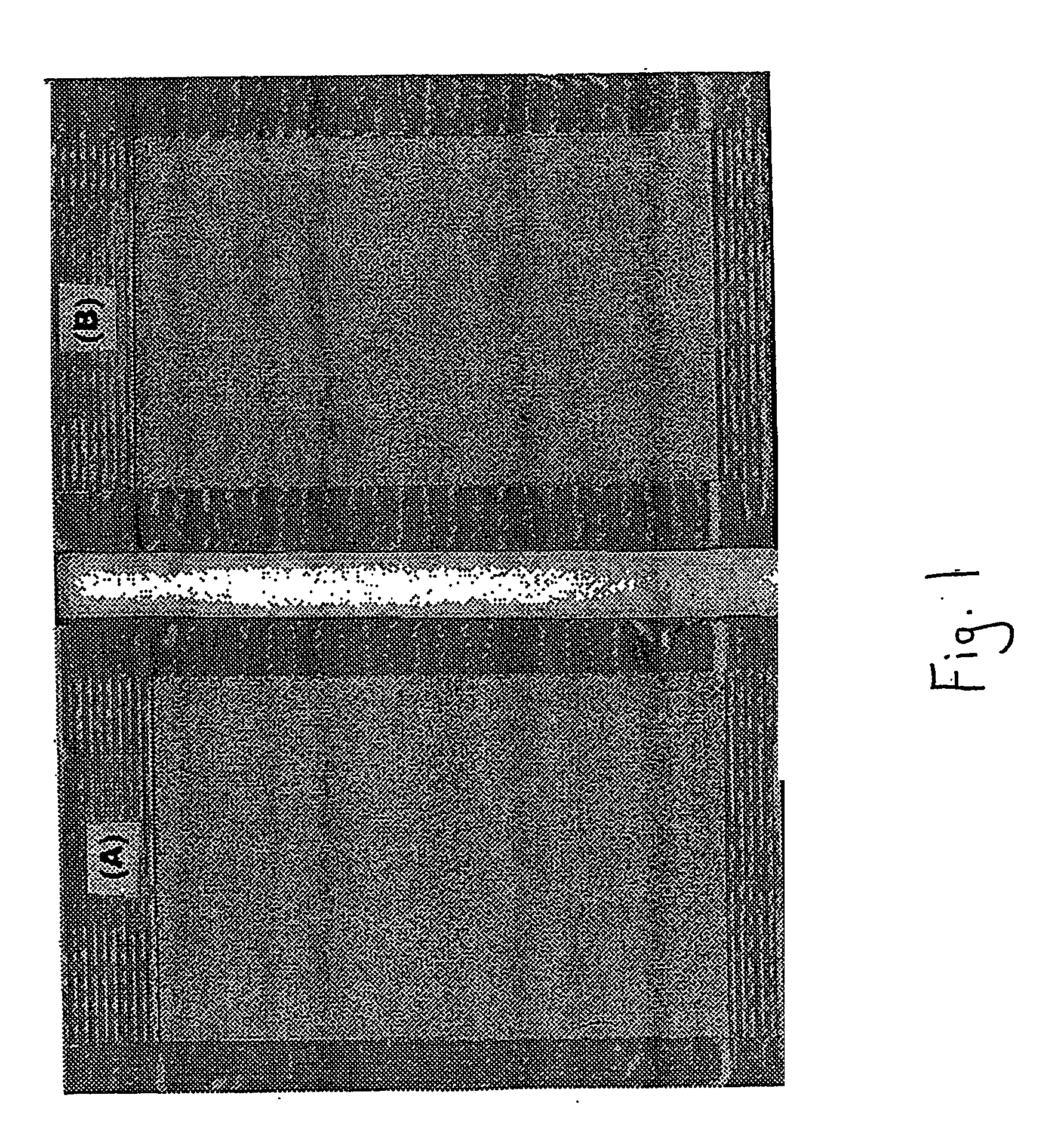 Surface base-coat formulation for metal alloys