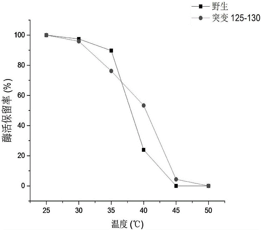 Method for improving heat stability of creatinase