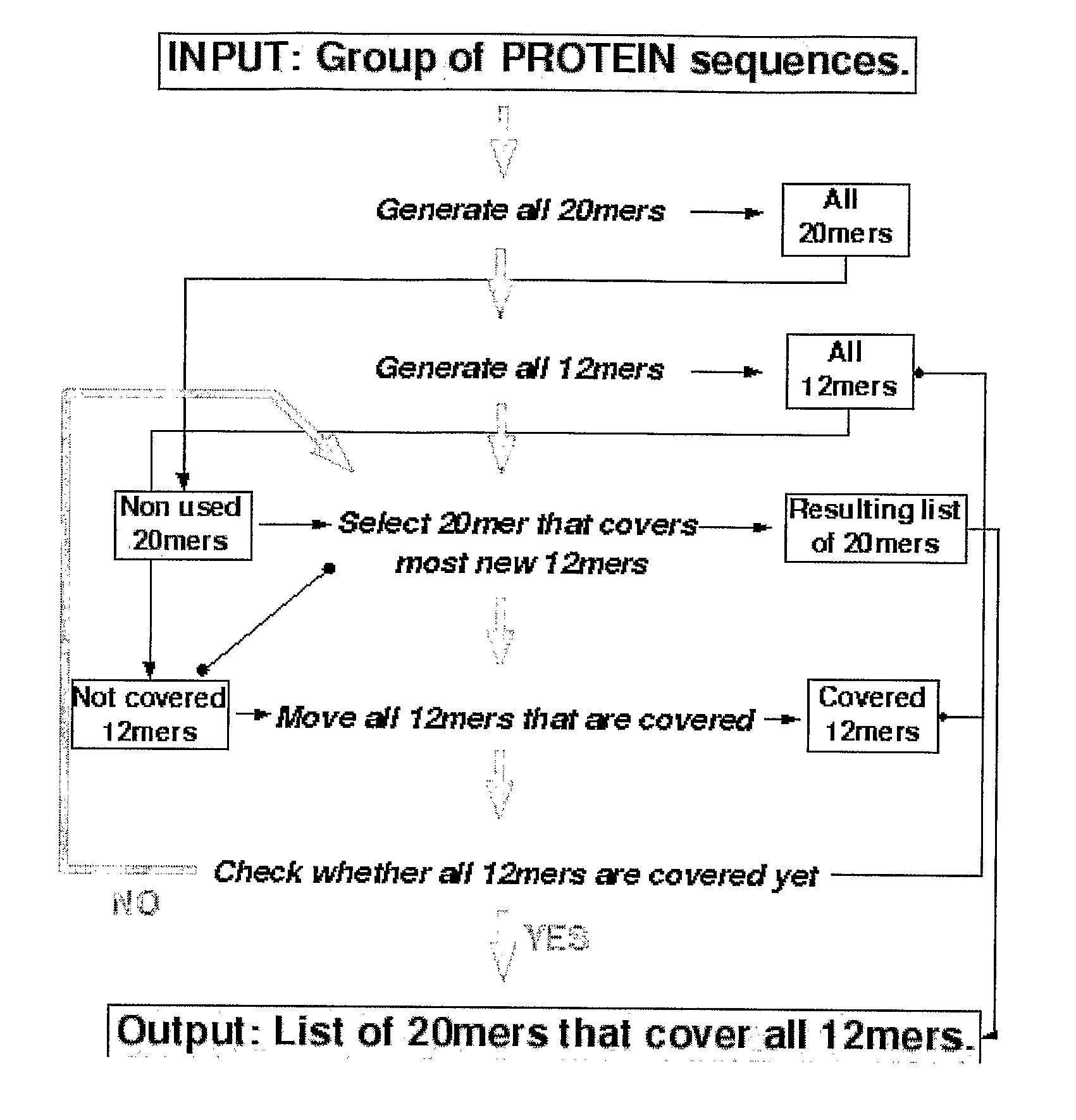 Epitopes Related to Coeliac Disease