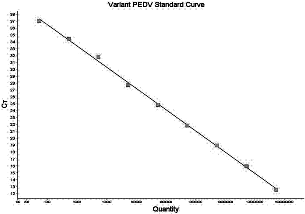 Porcine epidemic diarrhea virus (PEDV) fluorescent quantitative PCR primer and probe