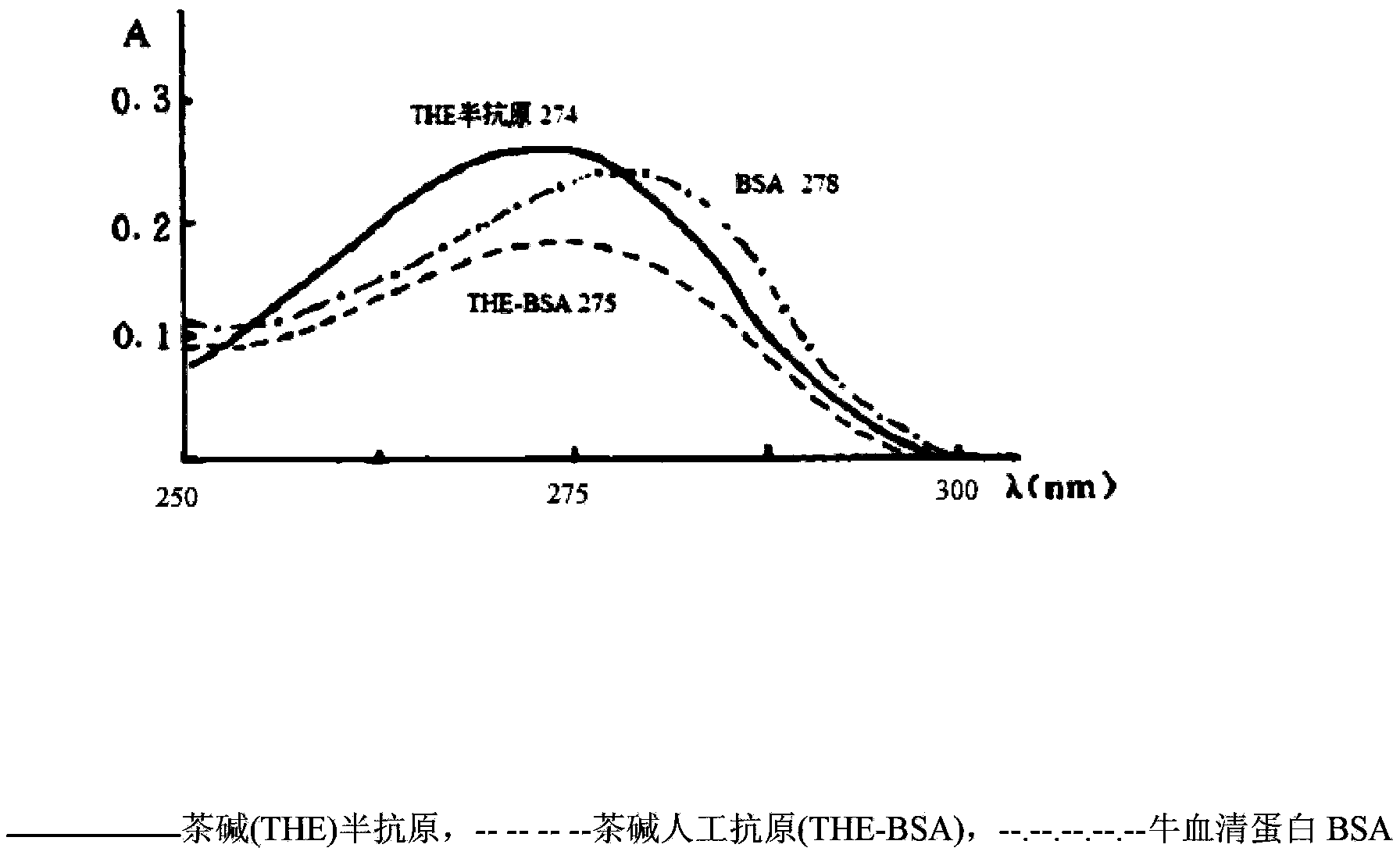 Preparation method for artificial antigen of theophylline