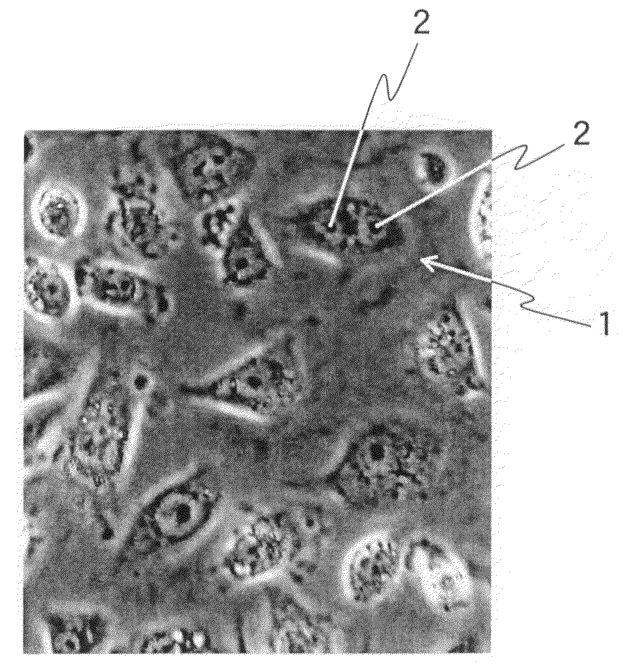 Method of Inducing Differentiation of Embryo-Stem Cell Into Hepatocyte and Hepatocyte Induced by the Method