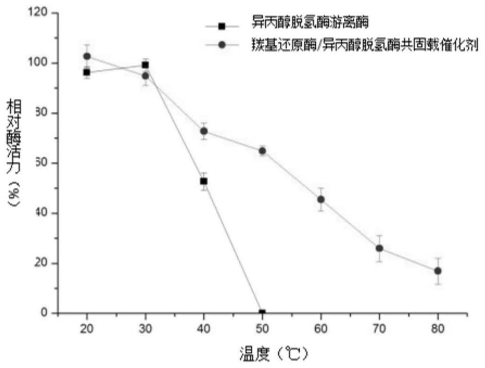 Carbonyl reductase/isopropanol dehydrogenase co-immobilized catalyst as well as preparation method and application thereof