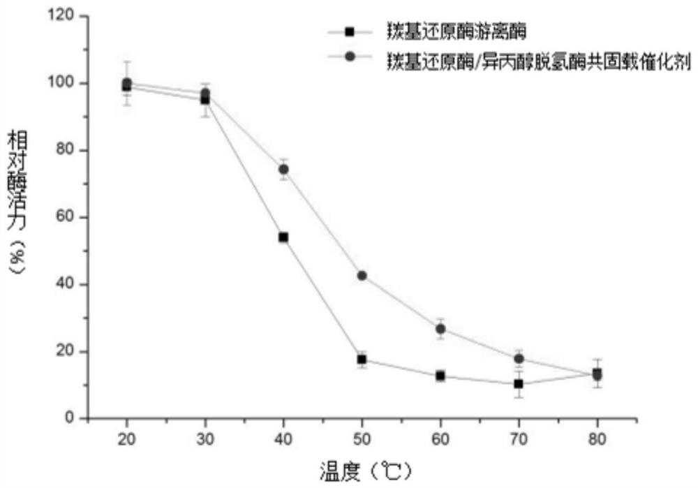 Carbonyl reductase/isopropanol dehydrogenase co-immobilized catalyst as well as preparation method and application thereof