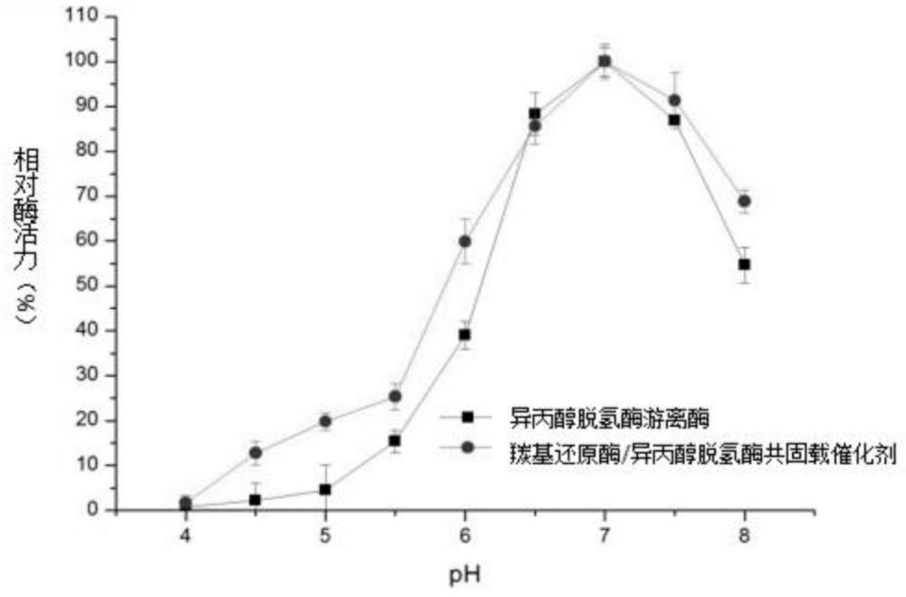 Carbonyl reductase/isopropanol dehydrogenase co-immobilized catalyst as well as preparation method and application thereof