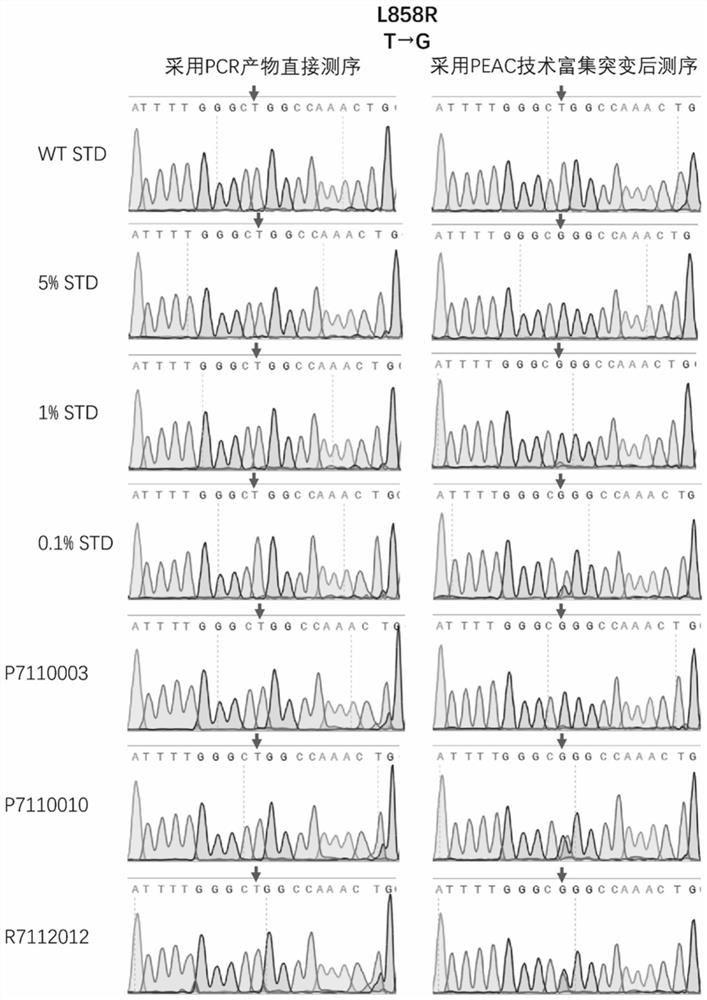 Dna probe for enriching low-frequency dna mutation and its application