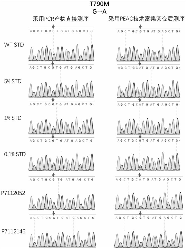 Dna probe for enriching low-frequency dna mutation and its application