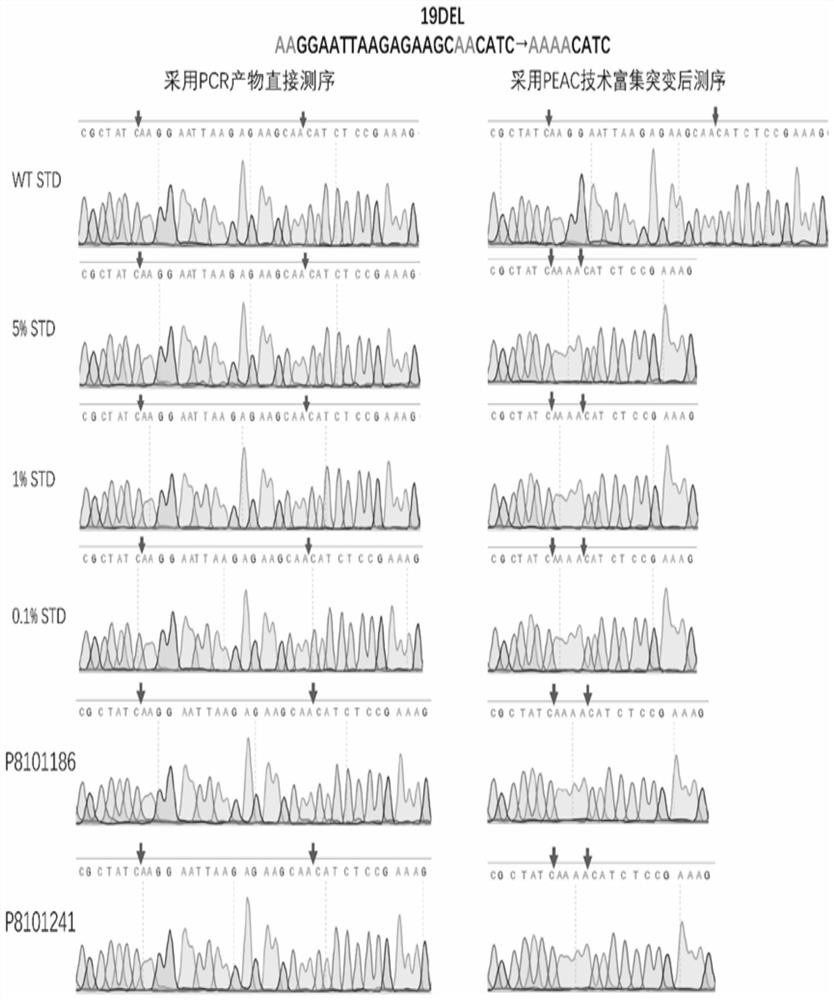 Dna probe for enriching low-frequency dna mutation and its application