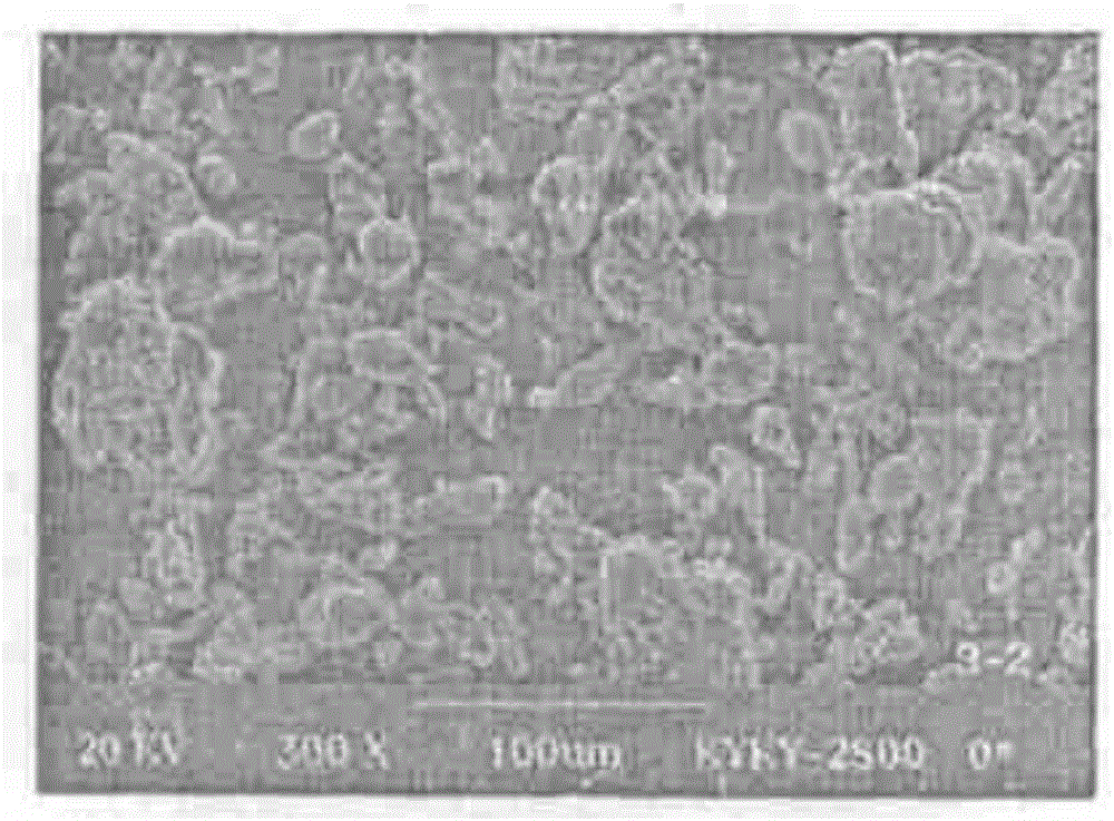 Method for preparing hard alloy in vacuum extrusion mode