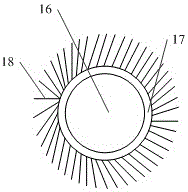 Automatic collection device