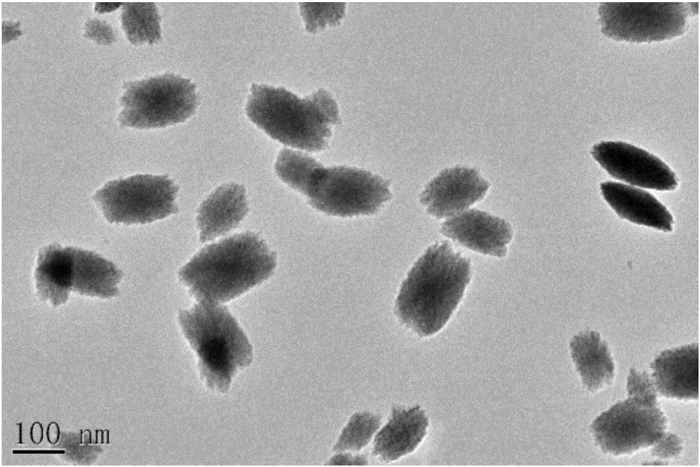 Method of preparing nanometer hafnium oxide particles of different crystal forms by adjusting alkali concentration